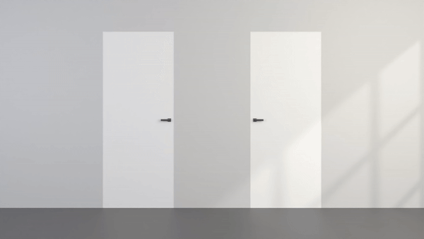 Invisible